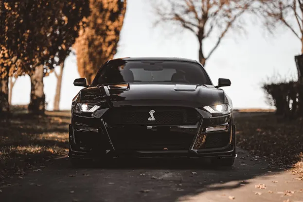 Ripper Kasino Android/iOS Sovellus